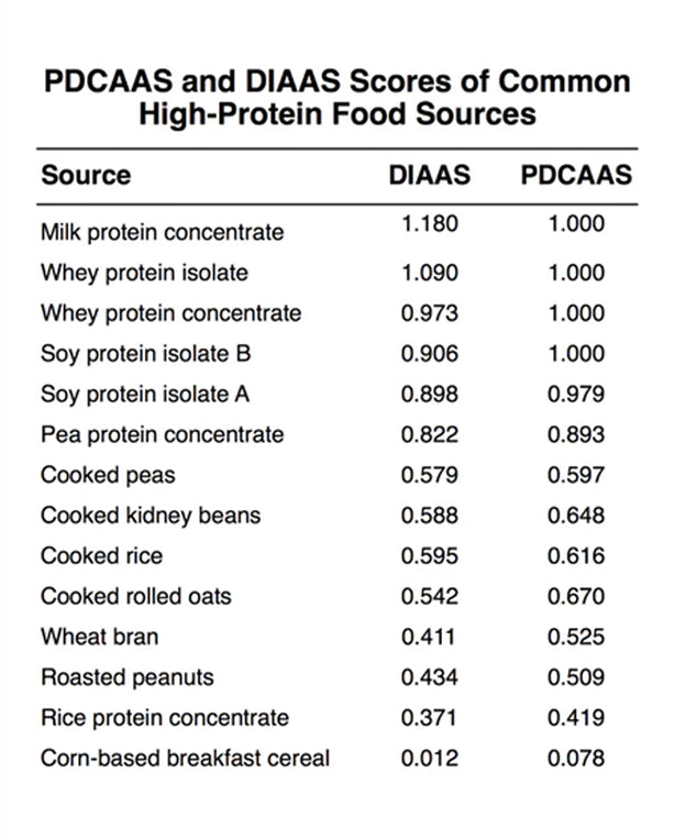 Protein bioavailability "The truth that the supplement industry does n